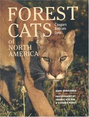 Forest Cats of North America by Jerry Kobalenko