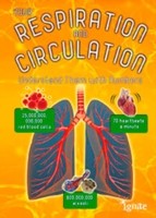 Cover of: Your Respiration And Circulation Understand It With Numbers