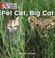 Cover of: Pet Cat Big Cat