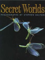 Cover of: Secret Worlds by Stephen Dalton, Stephen Dalton