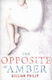 Cover of: The Opposite Of Amber