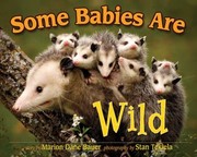 Cover of: Some Babies Are Wild by 