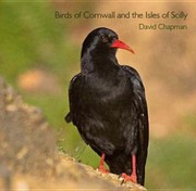 Cover of: Birds Of Cornwall And The Isles Of Scilly