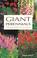 Cover of: Giant Perennials