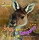 Cover of: Joey to Kangaroo Camilla de La Bdoyre