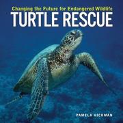 Cover of: Turtle Rescue: Changing the Future for Endangered Wildlife (Firefly Animal Rescue)