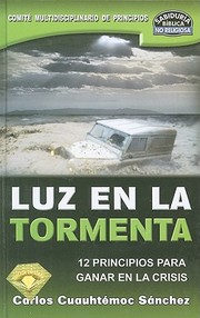 Cover of: Luz En La Tormenta 12 Principios Para Ganar En La Crisis