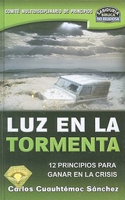 Cover of: Luz En La Tormenta 12 Principios Para Ganar En La Crisis by 