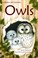 Cover of: Owls
            
                Usborne First Reading Level 4