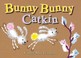 Cover of: Bunny Bunny Catkin