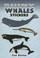 Cover of: Shiny Whales Stickers