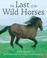 Cover of: The Last of the Wild Horses