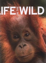Cover of: Life in the Wild Editor Bob Bridle