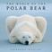 Cover of: The World of the Polar Bear