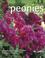 Cover of: Peonies (Firefly Gardener's Guide)