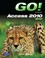 Cover of: Go With Access 2010 Brief