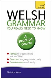 Cover of: Welsh Grammar You Really Need To Know