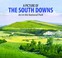 Cover of: A Picture Of The South Downs Art In The National Park