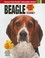 Cover of: Beagle