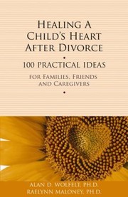 Cover of: Healing A Childs Heart After Divorce 100 Practical Ideas For Families Friends And Caregivers by 