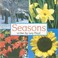 Cover of: Seasons