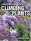 Cover of: Choosing And Using Climbing Plants