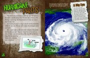 Cover of: Destructive Hurricanes
            
                Angry Earth Gareth Stevens