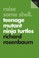 Cover of: Raise Some Shell Teenage Mutant Ninja Turtles
