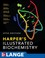 Cover of: Harpers Illustrated Biochemistry