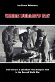 Cover of: While Bullets Fly