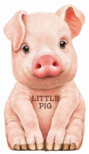 Cover of: Little Pig
            
                Look at Me Books Barrons by 