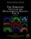 Cover of: The Zebrafish Cellular And Developmental Biology