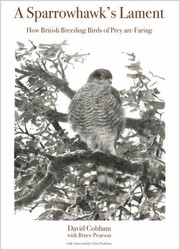 A Sparrowhawks Lament by Bruce Pearson