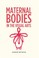 Cover of: Maternal Bodies in the Visual Arts