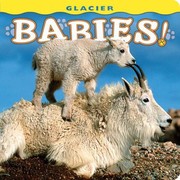 Cover of: Glacier Babies
            
                Babies Farcountry Press