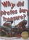 Cover of: Why Did Pirates Bury Treasure
