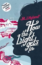 Cover of: How The Light Gets In