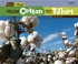 Cover of: From Cotton to TShirt
            
                Start to Finish Second Series Everyday Products