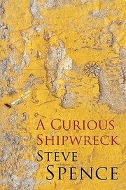 Cover of: A Curious Shipwreck