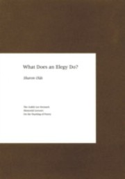 Cover of: What Does An Elegy Do by 