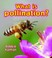 Cover of: What Is Pollination
            
                Big Science Ideas Paperback