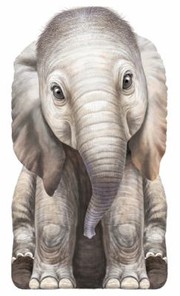 Cover of: Little Elephant