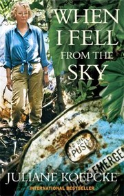 Cover of: When I Fell from the Sky