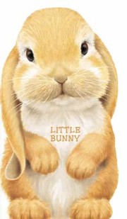 Cover of: Little Bunny
            
                Look at Me Books Barrons by 