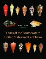 Cover of: Conus of the Southeastern United States and Caribbean by Alan J. Kohn