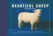 Cover of: Beautiful Sheep Postcard Book