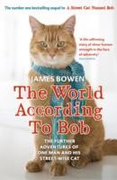 Cover of: The World According to Bob by 