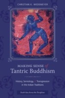 Cover of: Making Sense of Tantric Buddhism
            
                South Asia Across the Disciplines by 