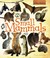 Cover of: Small Mammals Terry Jennings