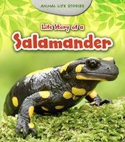 Cover of: Life Story of a Salamander by 